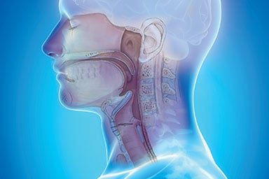 Otolaryngology &ndash; Head &amp; Neck Surgery